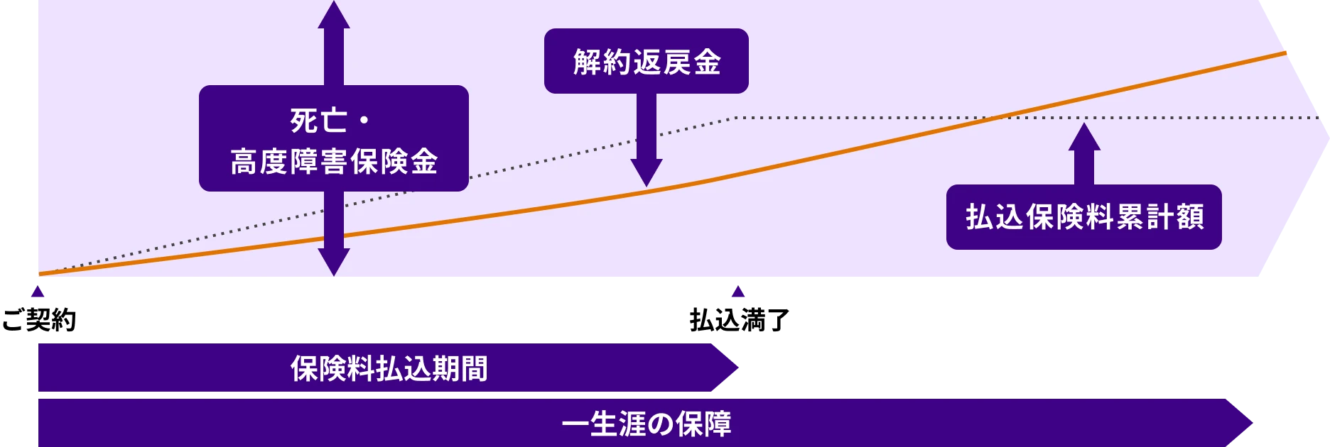 まとまった資金を払込いただき、あらかじめ定められた利率により、保険会社の一般勘定で運用する商品です。払込んだ保険料に応じて、被保険者がなくなられた場合に、死亡保険をお支払いします。