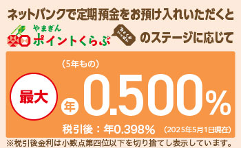 ネットバンク定期預金